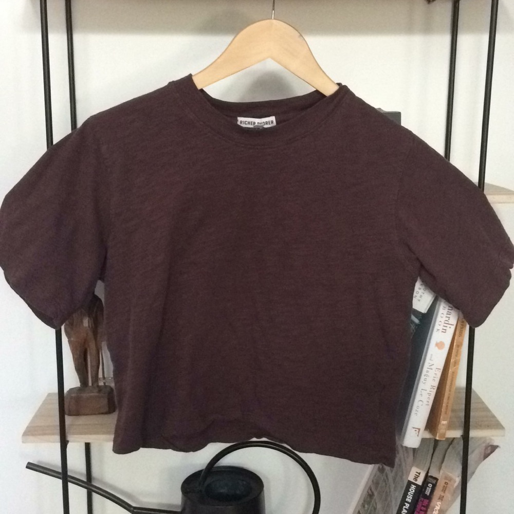 richer poorer earth tone crop tshirt
